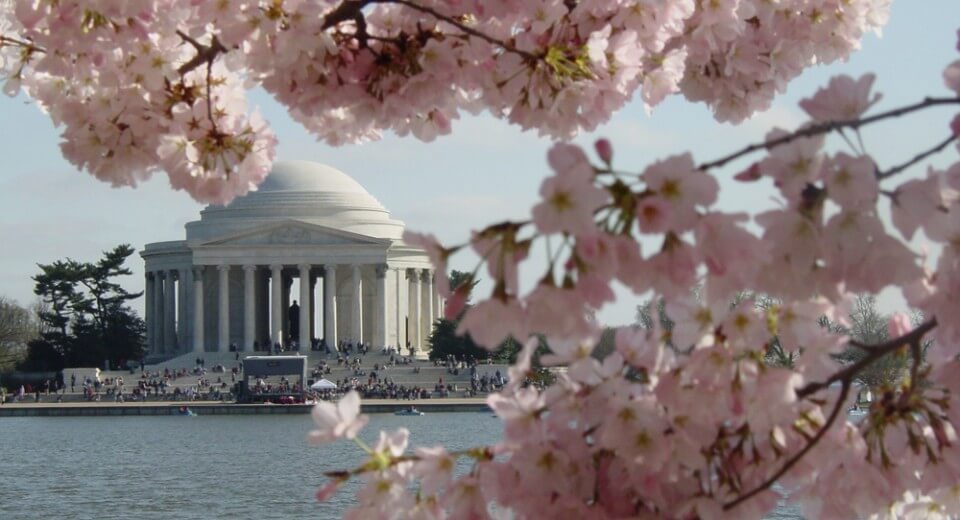 photographer fun places for kids in DC