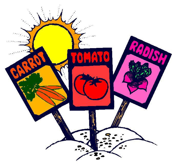 family photographer Vegetable gardening for kids