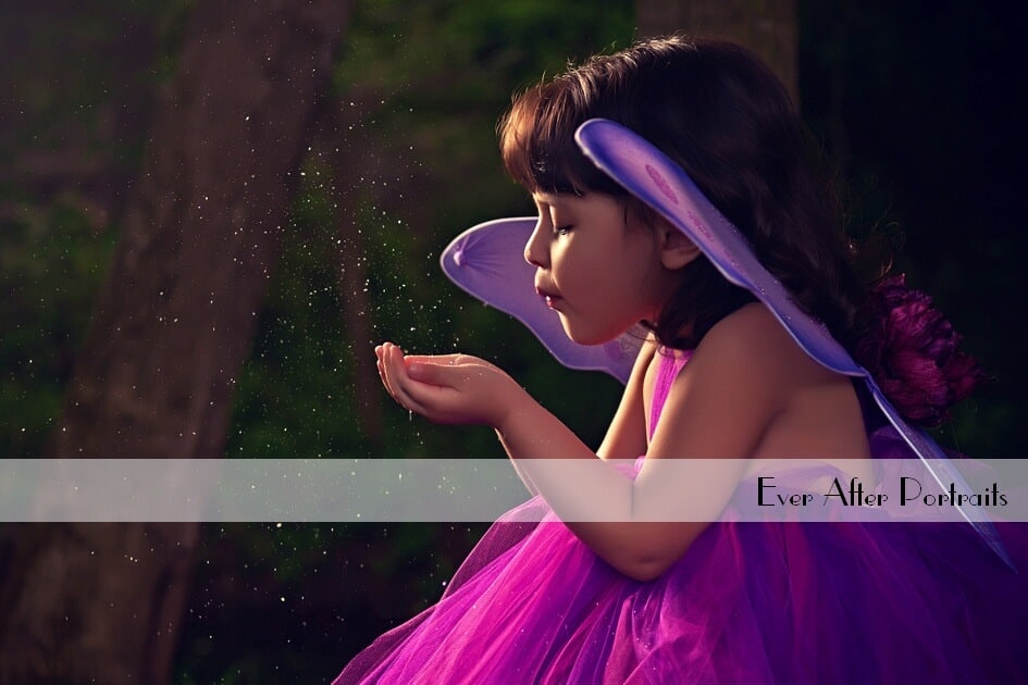 photography-arcola-va-middleburg-va-portraits-fall-fairytale-session photography arcola va middleburg va