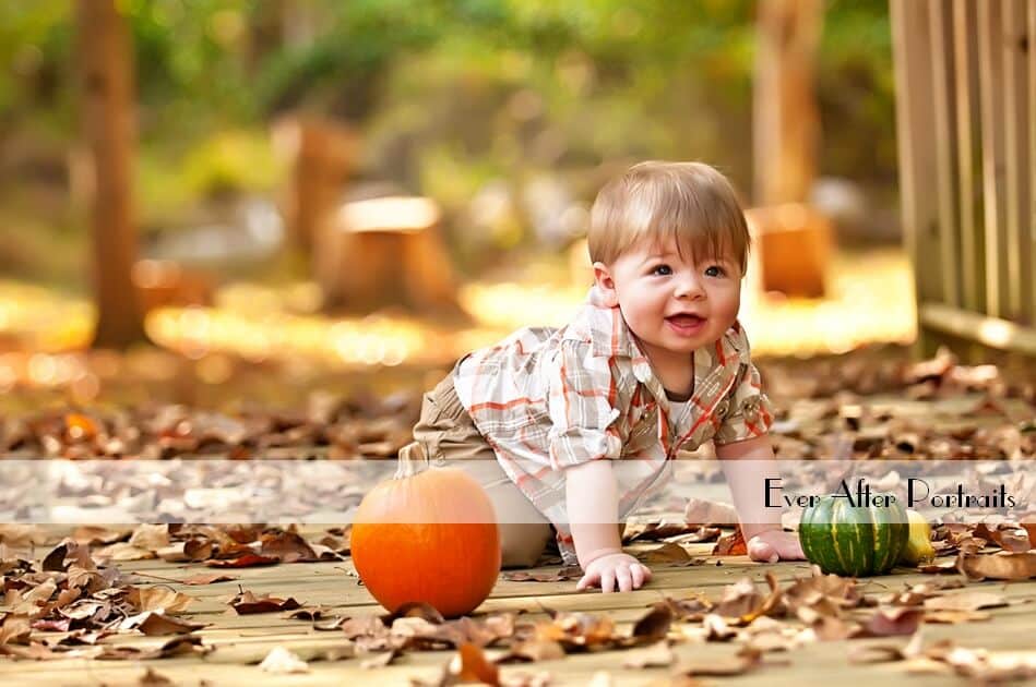 photographer-aldie-va-portrait-photography-studio-6-fall-family-festivals photographer aldie va