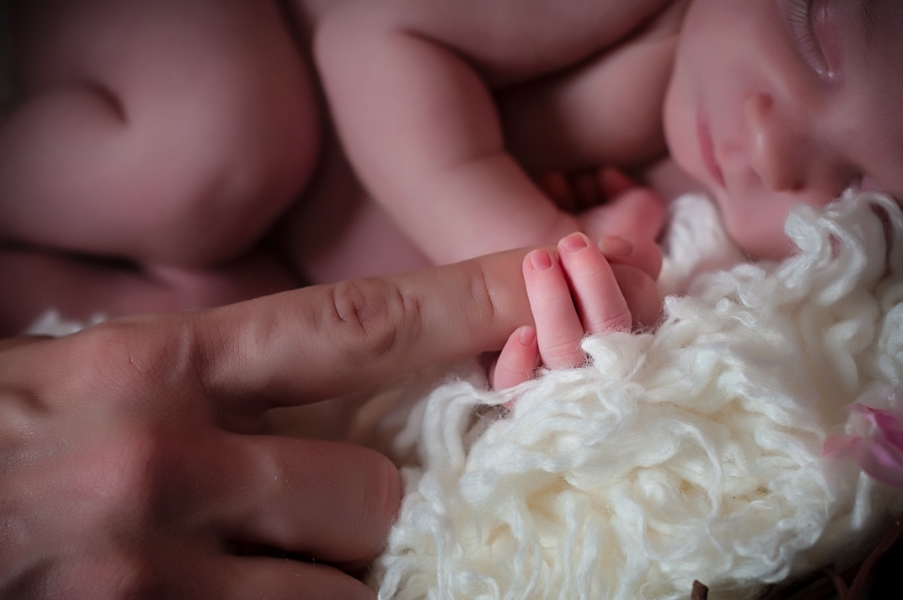 Baby Portraits in Nokesville