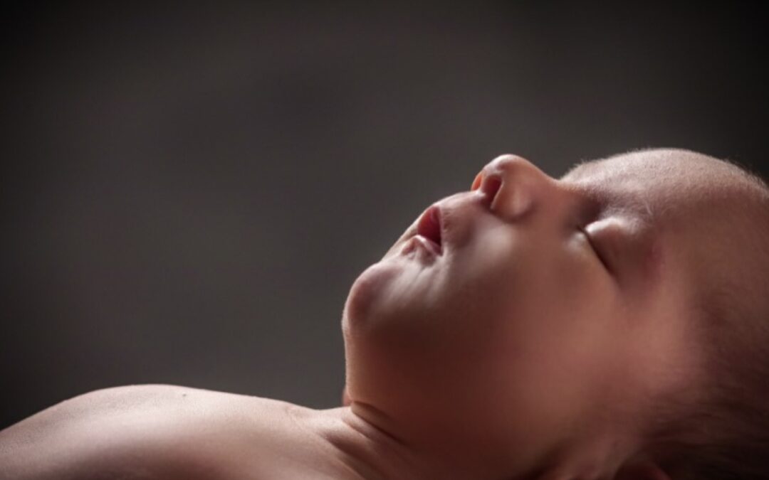 Baby Fine art photographer in Springfield